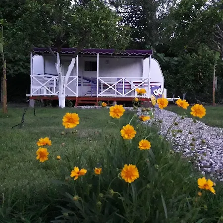 Bellerofon Caravan & Kamp alanı Çıralı