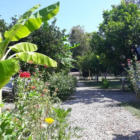 Kamp alanı Bellerofon Caravan &