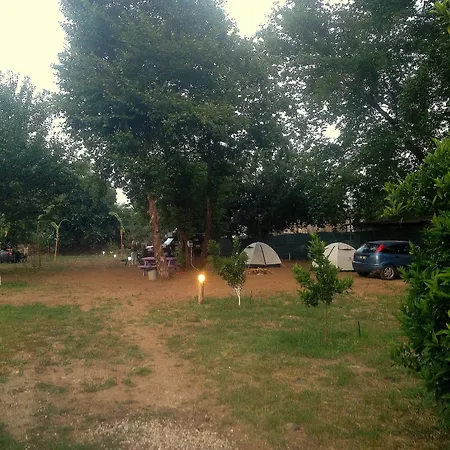 Bellerofon Caravan & * Çıralı